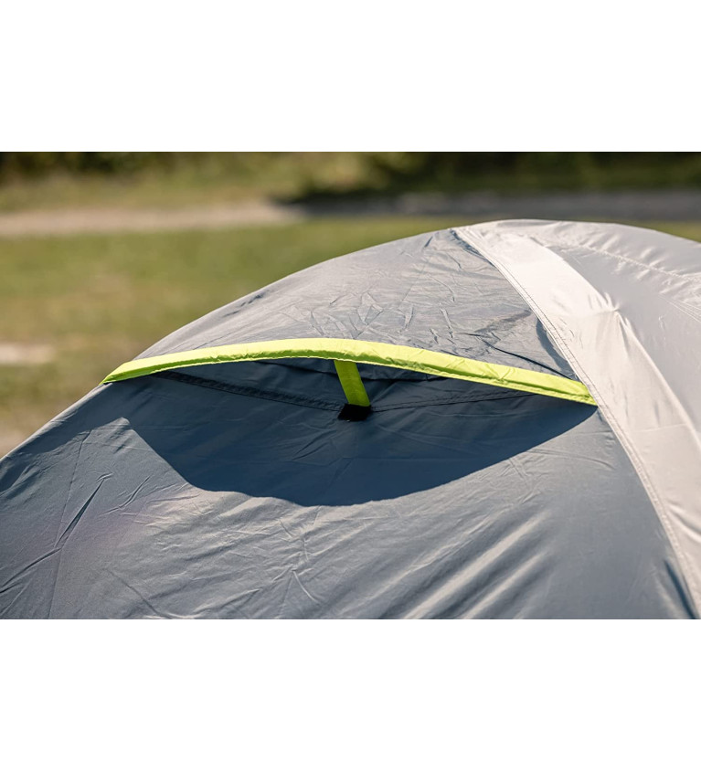 Coleman 4-person dome tent Darwin 4 Plus (grey/light green, with tunnel stem, model 2023)