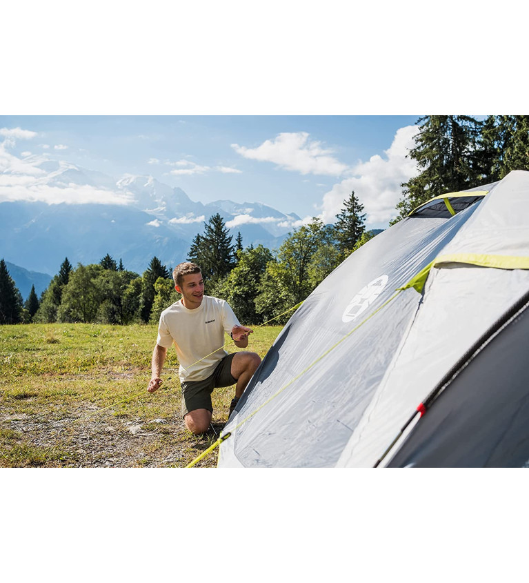 Coleman 4-person dome tent Darwin 4 Plus (grey/light green, with tunnel stem, model 2023)