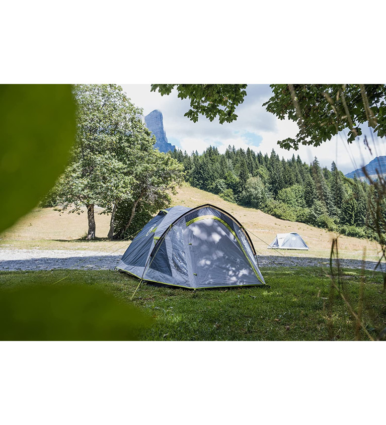 Coleman 4-person dome tent Darwin 4 Plus (grey/light green, with tunnel stem, model 2023)